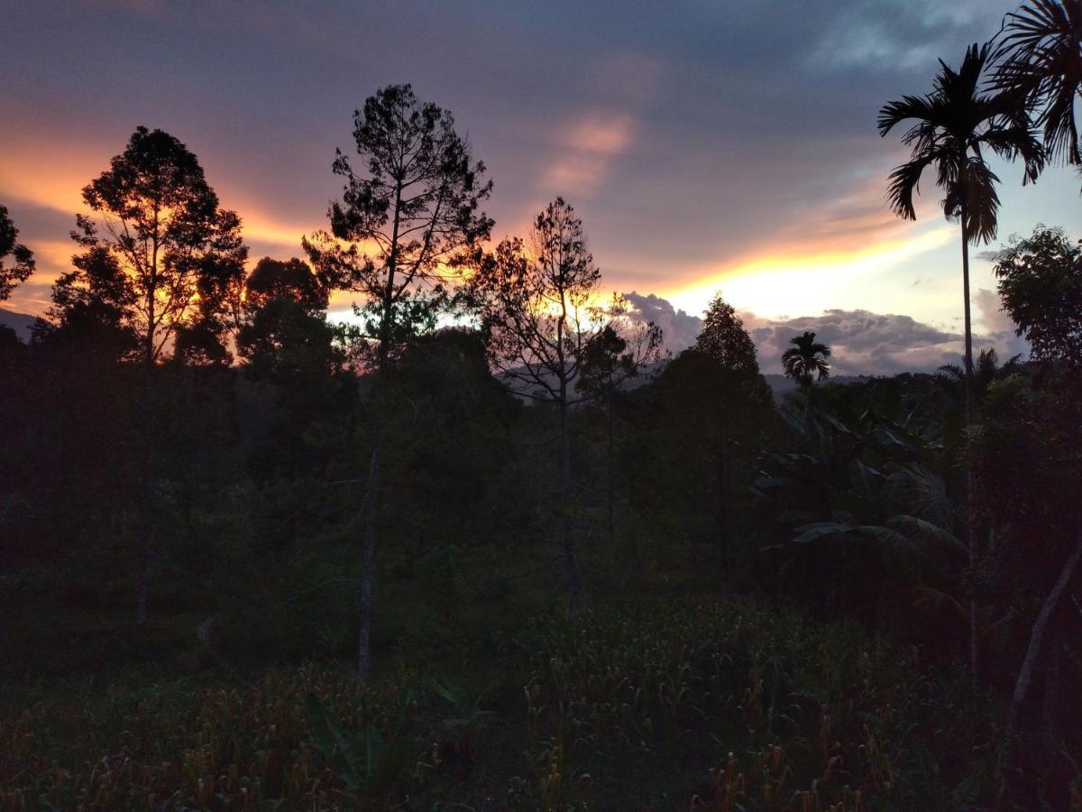 Sumatra Orangutan Discovery Villa Букит-Лаванг Экстерьер фото