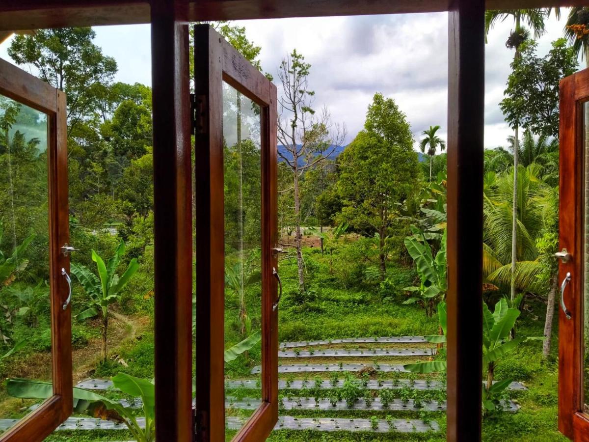 Sumatra Orangutan Discovery Villa Букит-Лаванг Экстерьер фото